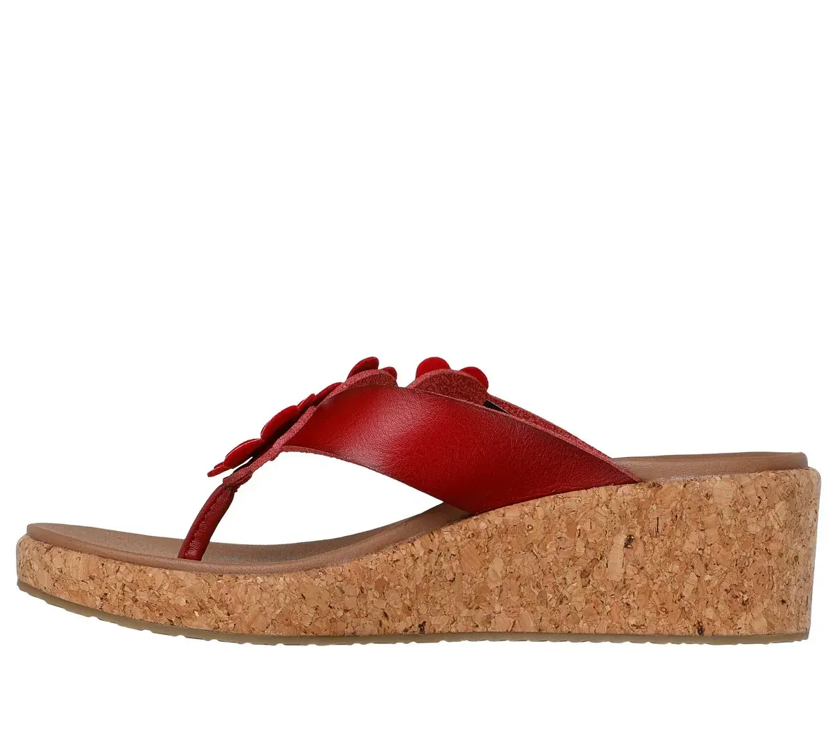 Arch Fit Beverlee – Seltene Blüte Arch Fit Beverlee – Seltene Blüte